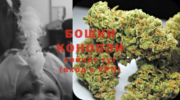 прущие грибы Пересвет