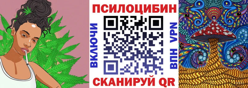 где продают   Апатиты  Псилоцибиновые грибы Magic Shrooms 